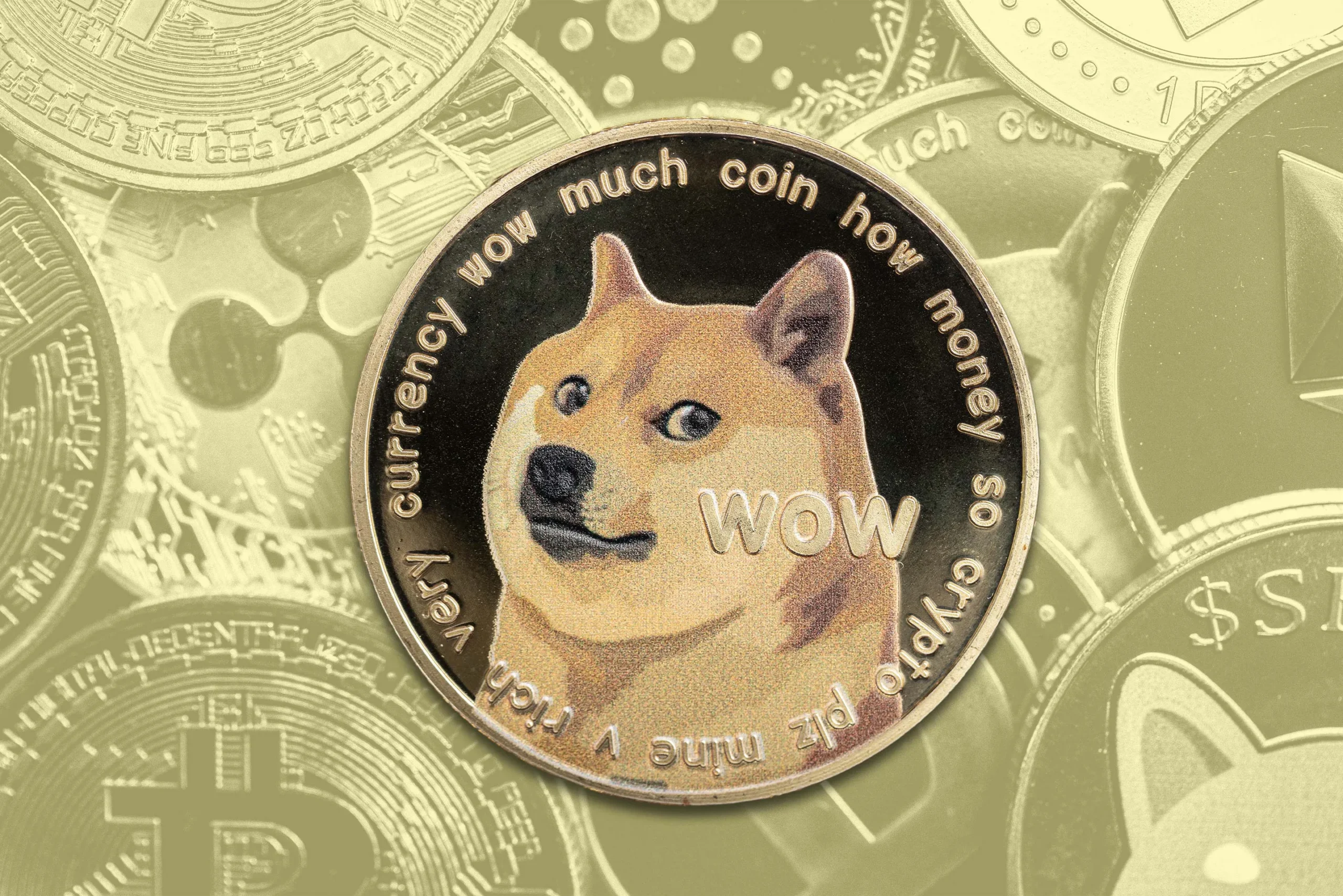 Компания Dogecoin Cash запустила структуру для развития экосистемы Dogecoin